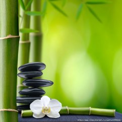 Декларации продукции PHILOSOPHY